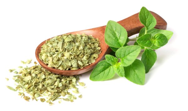 50G Oregano
