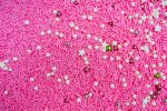 50g Girl Gang Mix