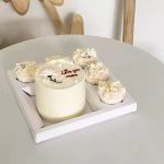 Transparent Bento and Cup Cake Box with handles
