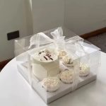 Transparent Bento and Cup Cake Box with handles
