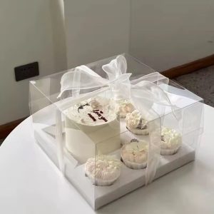 Transparent Bento and Cup Cake Box with handles